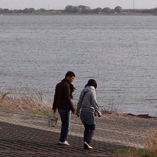 渡良瀬遊水地で愛を育む？カップル