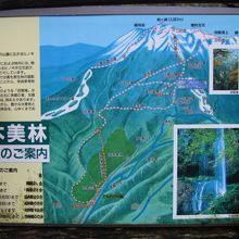 御嶽山４合目の油木美林の案内図