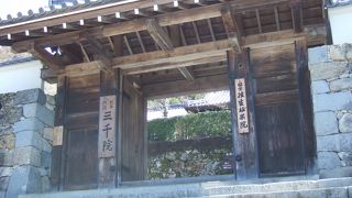 静かな大原の里の見ごたえのある三千院。