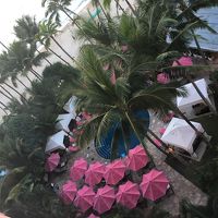 ベランダから見えるホテルのプールも可愛い。