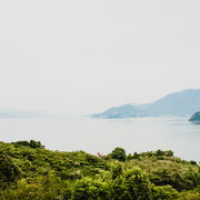 美術館から眺める風景