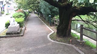 夜に人がいっぱ