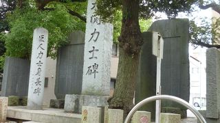 大関の名前をさがしました