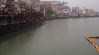 散歩がてら川沿いを歩く