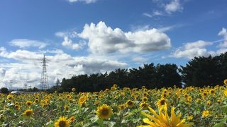 ぎゅーっと詰まった道の駅