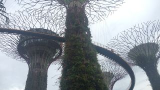 人口感近未来感半端ない