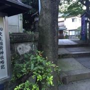 徳川家ゆかりの神社