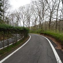 サイクリングコースを走りました