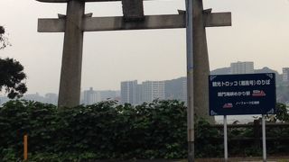 めかりじんじゃ