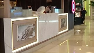 ちょっと休憩に