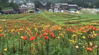 わざわざ行くのはおすすめしない。