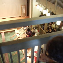 平日でもこの混みようでした。