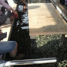 湯の中の様子です。雰囲気が良いので、足を入れている人は少数