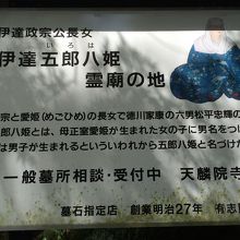 伊達五郎八姫の看板と説明書きです
