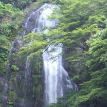 実は電動の滝。