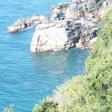 透明感のあるきれいな海でした