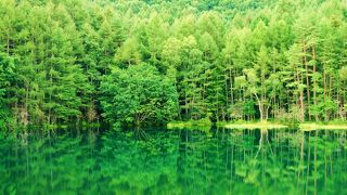 気軽に立ち寄れます