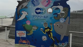 クラゲがぷかぷか