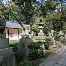 狛犬がたくさんいます