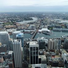 展望台からのダーリングハーバーの眺め