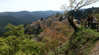 吉野千本桜