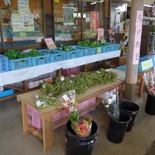 店頭に並ぶお野菜