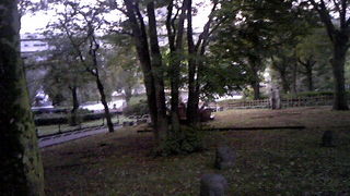 地味ですが・・・・・