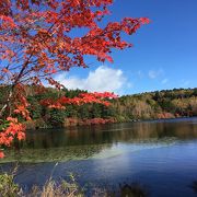 北八ヶ岳麓　白駒の池