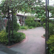 葡萄の木棚のようにアーチ型をした出入り口です。駐車場への経路