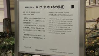 2016年10月　丹波市　「木の根橋」