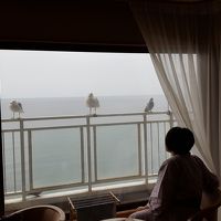 どんだけオーシャンビューなんだ。朝カーテンを開けたらカモメが