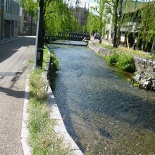 直ぐ近くを流れる白川です