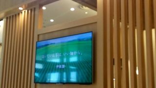 抹茶のソフトクリーム