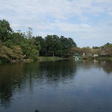 大宮公園には大きな池もあります