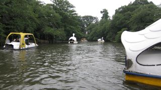雨の日のボートは屋根付きで！