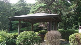 とても落ち着く秘密の場所は日本庭園