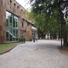 通りから裏手の入り口