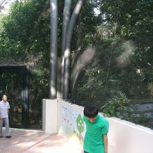 動物系専門学校生が実習中でした