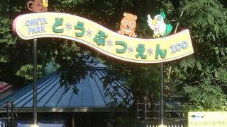 動物関係の専門学校学生が実習中でした