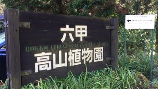 もう一度時間をかけて回りたい