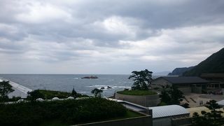 日本海の大自然を感じられる水族館！