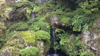 お庭が素敵でした