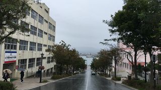 坂道から港を臨む