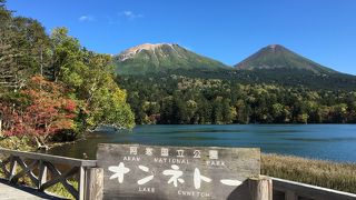 はるばる行った甲斐がありました