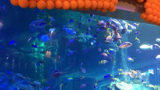 楽しめました！