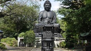 小振りだが見応え有り