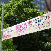 花フェスタ札幌 クチコミ アクセス 営業時間 札幌 フォートラベル 花フェスタ札幌 クチコミ アクセス 営業時間 札幌 フォートラベル