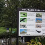 「向原湧水」の流れる公園