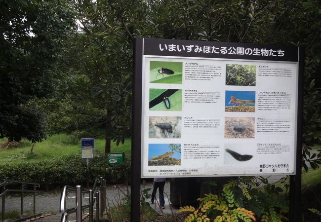 「向原湧水」の流れる公園