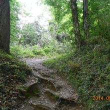 登城路